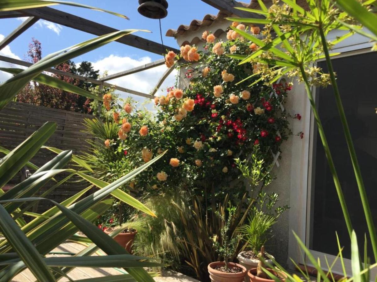 La Villa Vaihere En Camargue, L'Hibiscus Et Le Magnolia Сент-Мари-де-ла-Мер Экстерьер фото